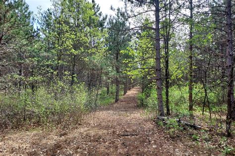 wooded property for sale in wisconsin